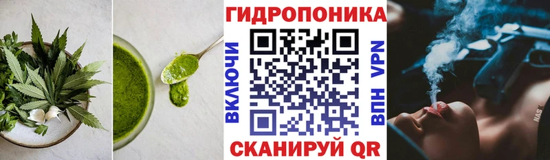 Купить где  Староминская  Еда ТГК марихуана 