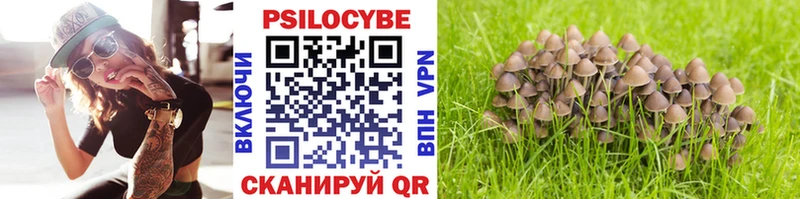 Псилоцибиновые грибы Cubensis  Купить  Староминская 